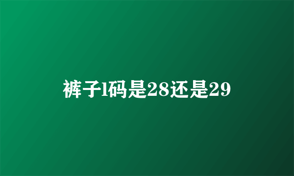 裤子l码是28还是29