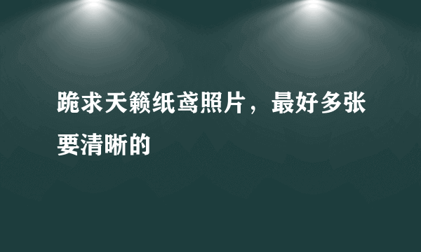 跪求天籁纸鸢照片，最好多张要清晰的