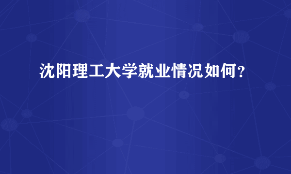 沈阳理工大学就业情况如何？