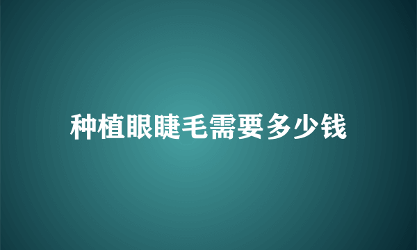 种植眼睫毛需要多少钱