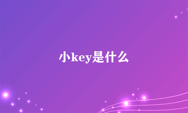 小key是什么