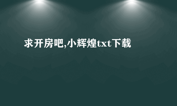 求开房吧,小辉煌txt下载