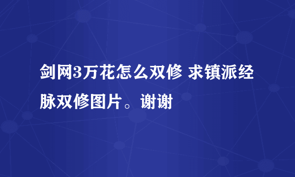 剑网3万花怎么双修 求镇派经脉双修图片。谢谢