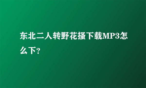 东北二人转野花搔下载MP3怎么下？