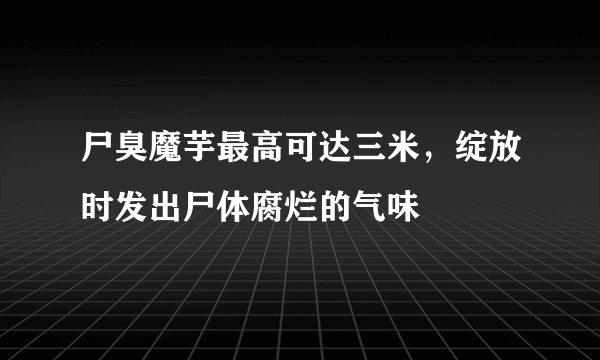 尸臭魔芋最高可达三米，绽放时发出尸体腐烂的气味 