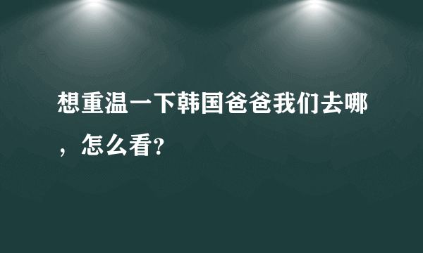 想重温一下韩国爸爸我们去哪，怎么看？