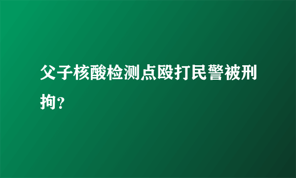 父子核酸检测点殴打民警被刑拘？