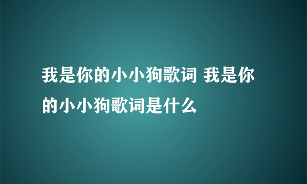 我是你的小小狗歌词 我是你的小小狗歌词是什么