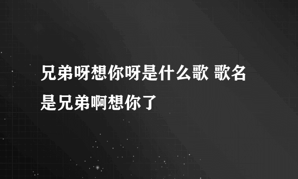 兄弟呀想你呀是什么歌 歌名是兄弟啊想你了