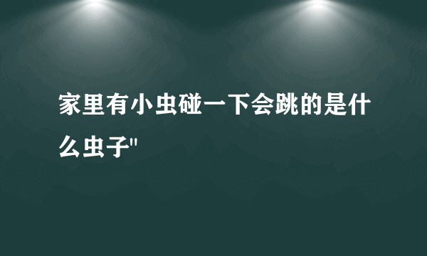 家里有小虫碰一下会跳的是什么虫子