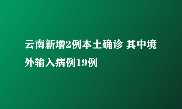 云南新增2例本土确诊 其中境外输入病例19例