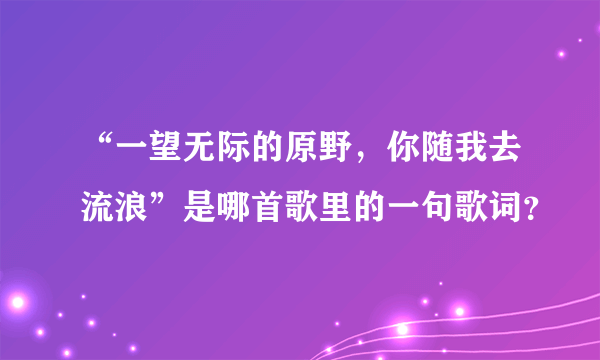 “一望无际的原野，你随我去流浪”是哪首歌里的一句歌词？