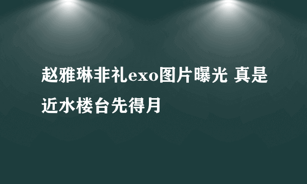 赵雅琳非礼exo图片曝光 真是近水楼台先得月