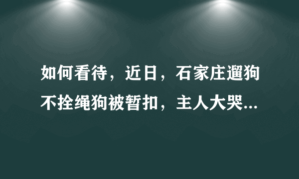 如何看待，近日，石家庄遛狗不拴绳狗被暂扣，主人大哭这种行为？