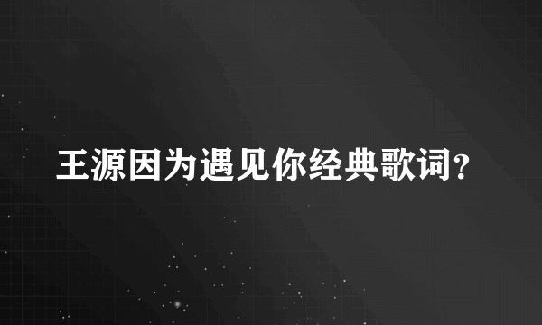 王源因为遇见你经典歌词？