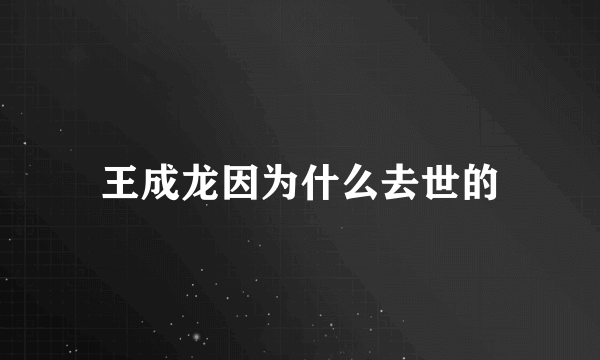 王成龙因为什么去世的