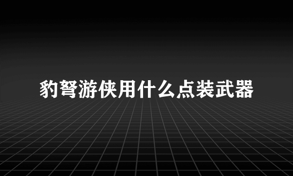 豹弩游侠用什么点装武器