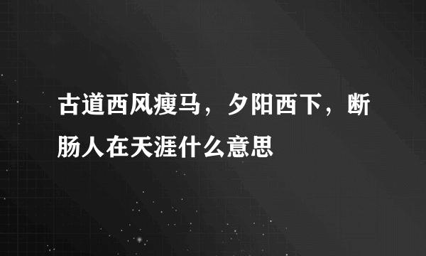 古道西风瘦马，夕阳西下，断肠人在天涯什么意思