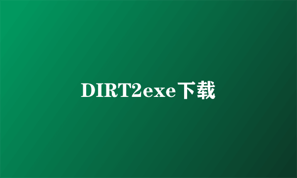 DIRT2exe下载