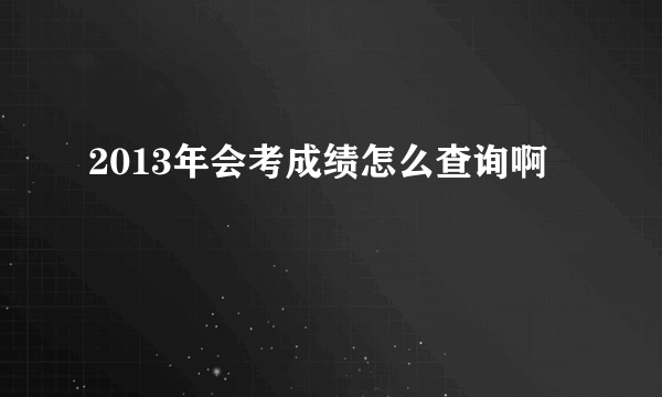 2013年会考成绩怎么查询啊