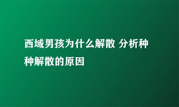 西域男孩为什么解散 分析种种解散的原因