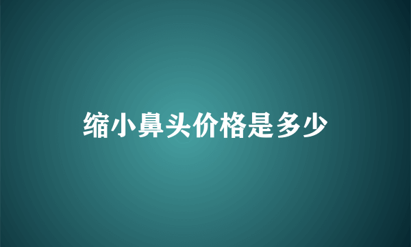 缩小鼻头价格是多少