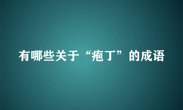 有哪些关于“疱丁”的成语