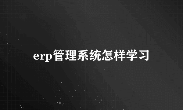 erp管理系统怎样学习