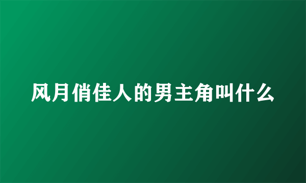 风月俏佳人的男主角叫什么