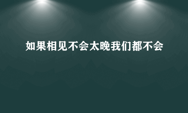 如果相见不会太晚我们都不会