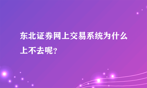 东北证券网上交易系统为什么上不去呢？