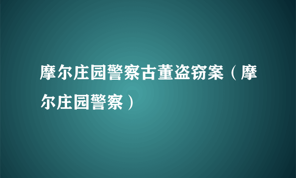 摩尔庄园警察古董盗窃案（摩尔庄园警察）