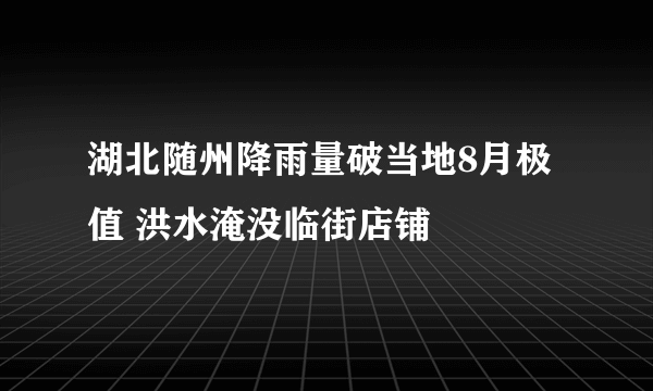 湖北随州降雨量破当地8月极值 洪水淹没临街店铺