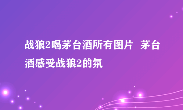 战狼2喝茅台酒所有图片  茅台酒感受战狼2的氛