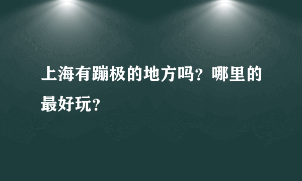 上海有蹦极的地方吗？哪里的最好玩？