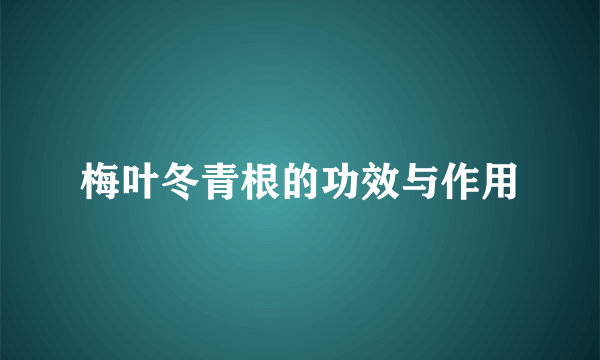 梅叶冬青根的功效与作用