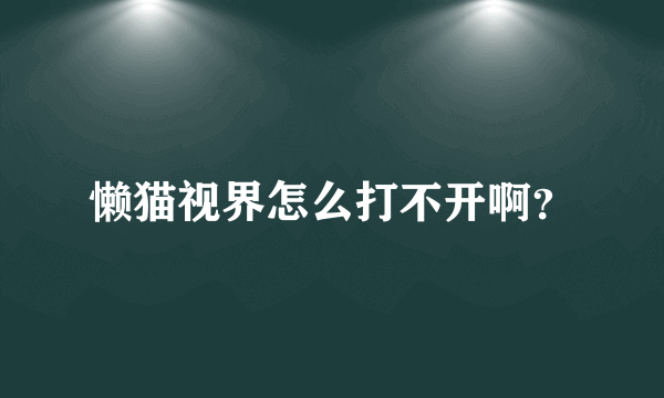 懒猫视界怎么打不开啊？