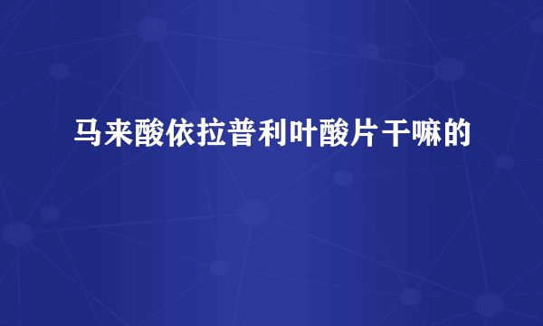 马来酸依拉普利叶酸片干嘛的