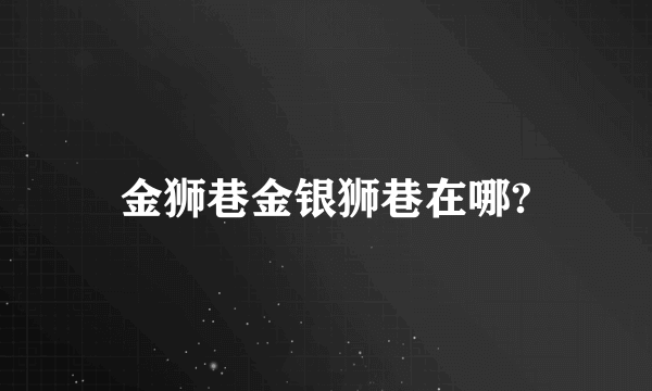 金狮巷金银狮巷在哪?