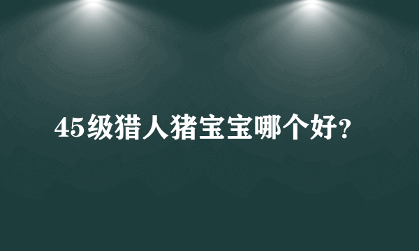 45级猎人猪宝宝哪个好？