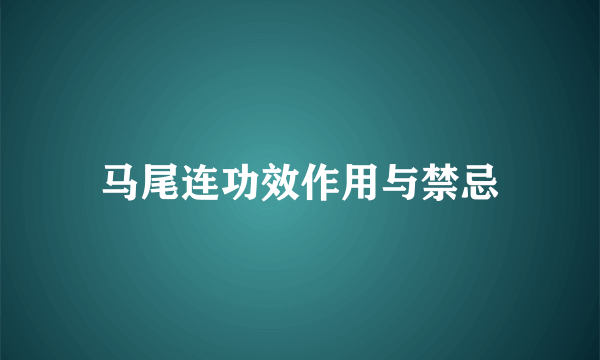 马尾连功效作用与禁忌