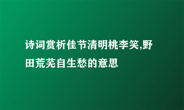 诗词赏析佳节清明桃李笑,野田荒芜自生愁的意思