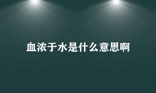 血浓于水是什么意思啊