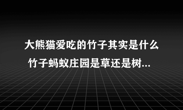 大熊猫爱吃的竹子其实是什么 竹子蚂蚁庄园是草还是树12.12