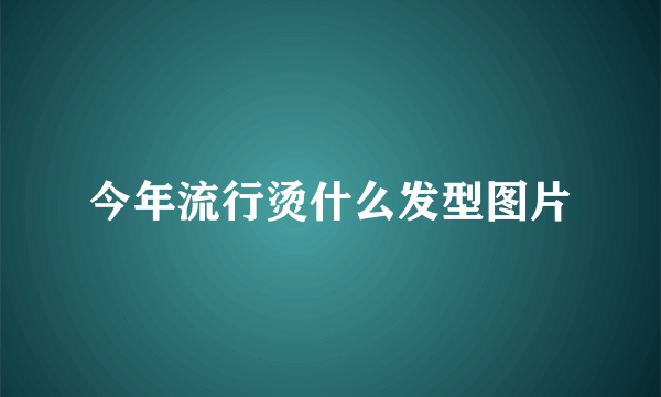 今年流行烫什么发型图片