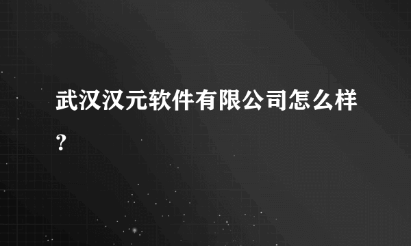 武汉汉元软件有限公司怎么样？