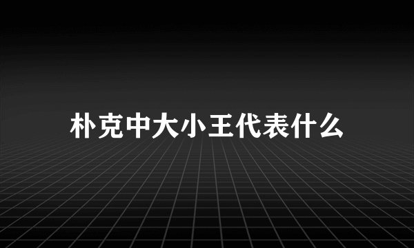 朴克中大小王代表什么