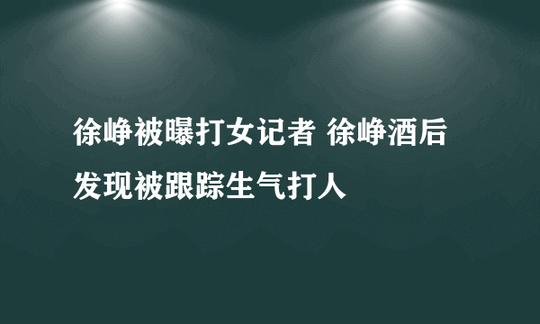 徐峥被曝打女记者 徐峥酒后发现被跟踪生气打人