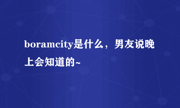 boramcity是什么，男友说晚上会知道的~