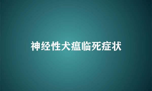 神经性犬瘟临死症状